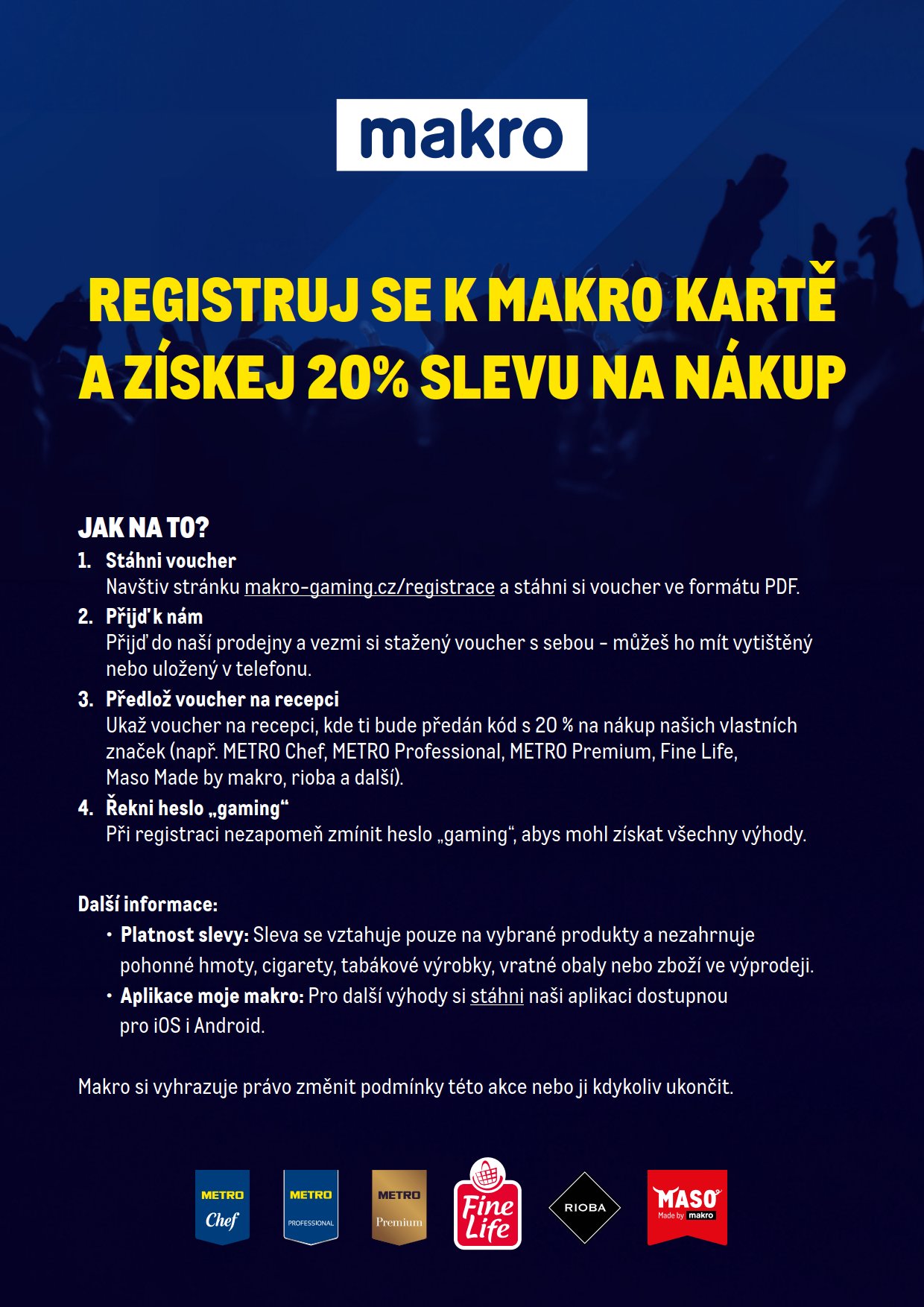 Flyer Makro Gaming